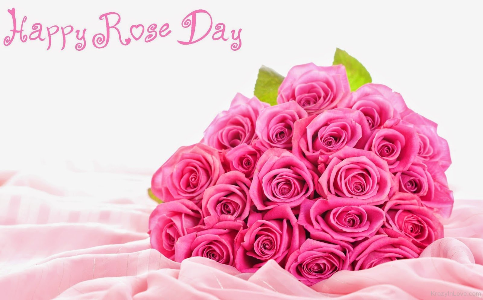 happy rose day beautiful pink roses