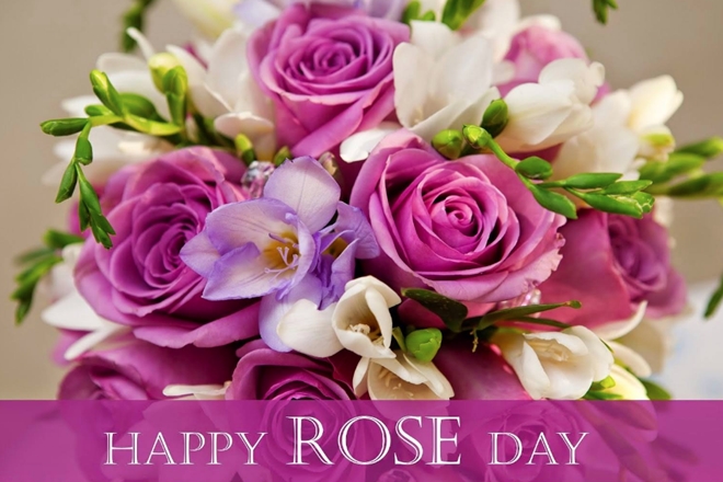 happy rose day flowers for you