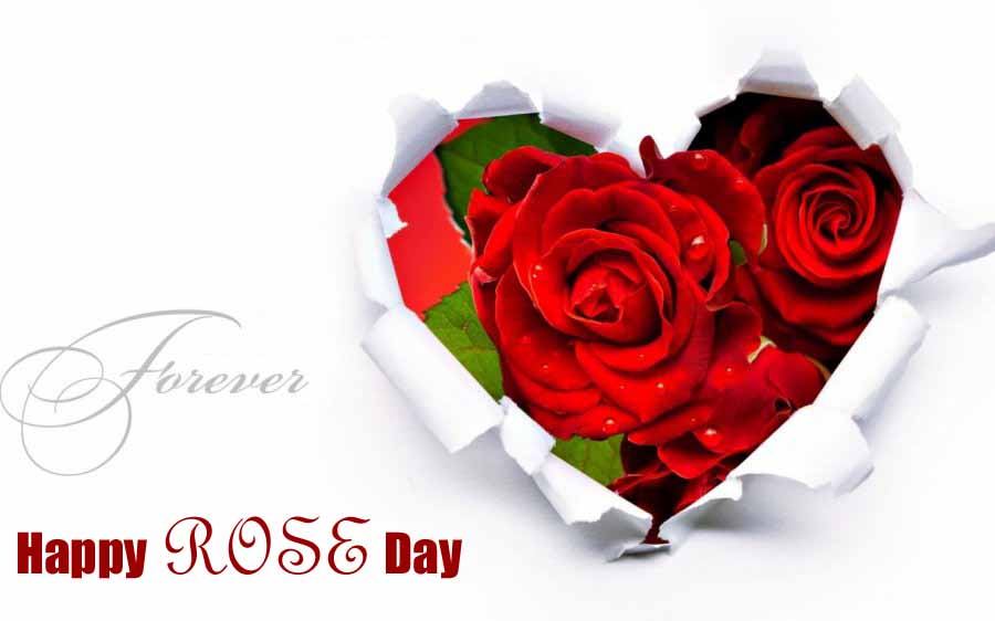 happy rose day love you forever