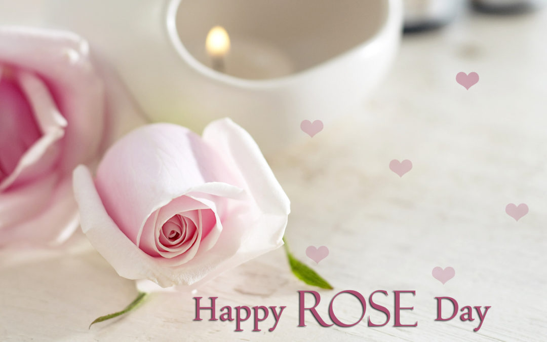 happy rose day pink rose for you