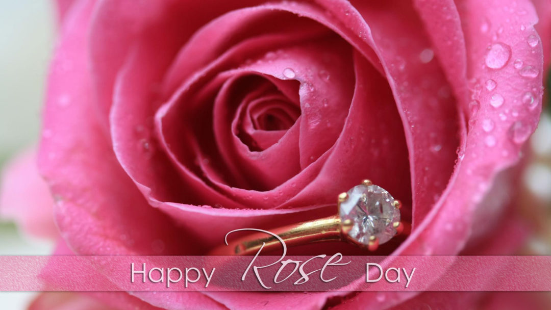 happy rose day pink rose with diamond ring