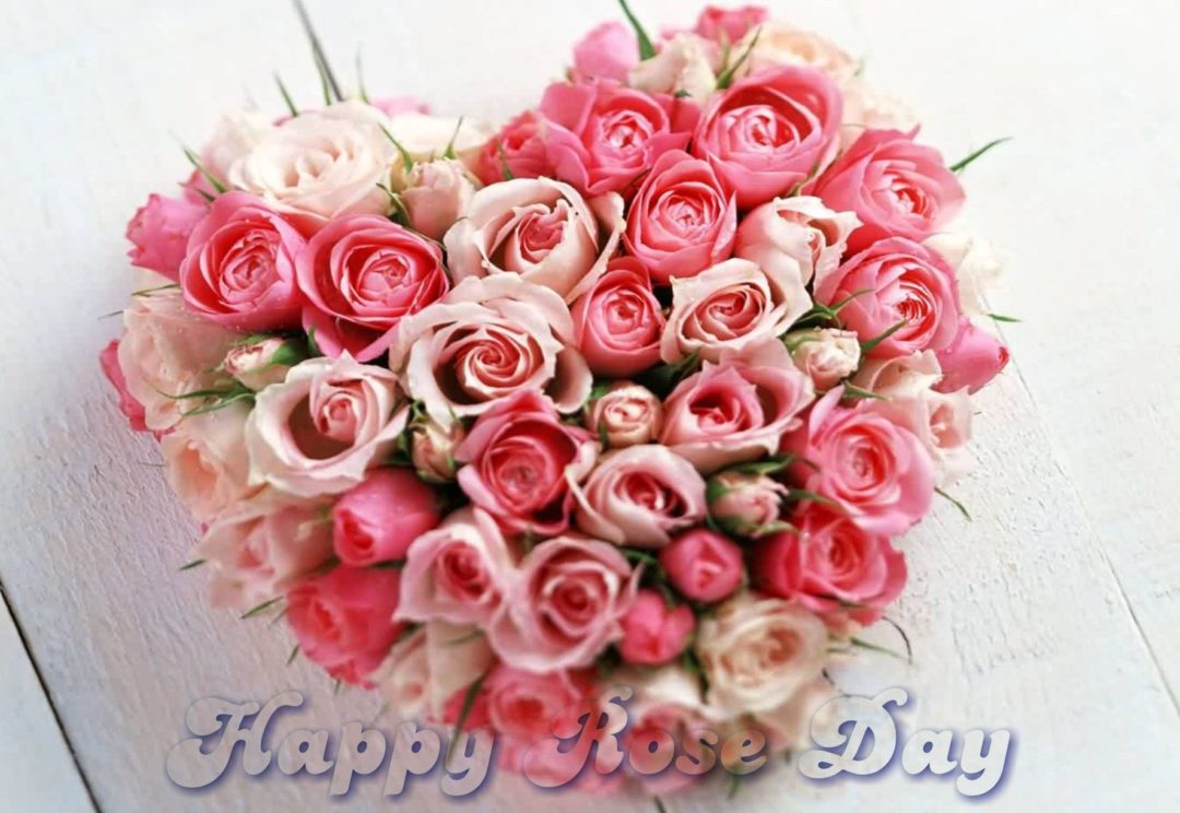 happy rose day pink roses heart shaped bouquet