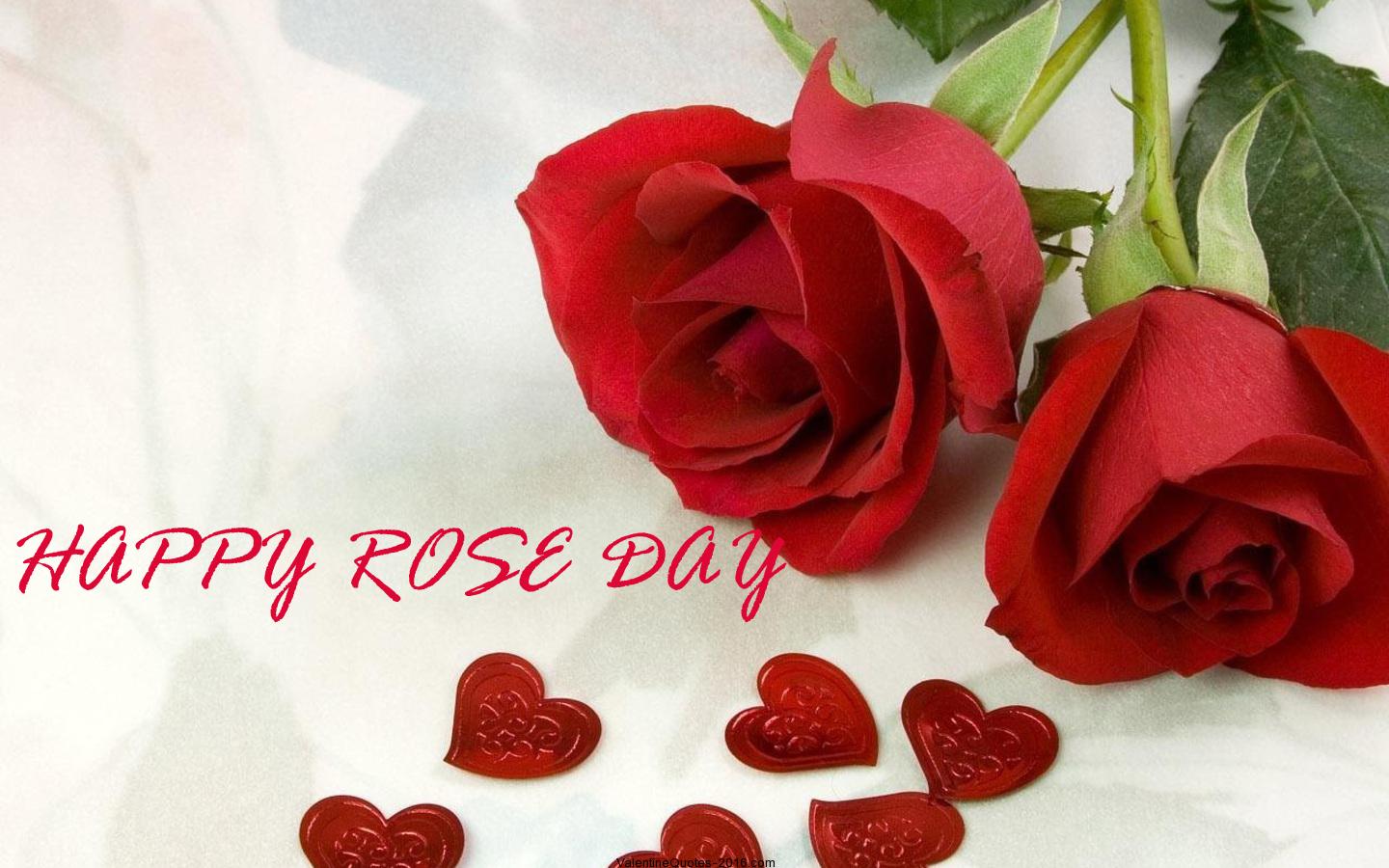 happy rose day red rose buds for you