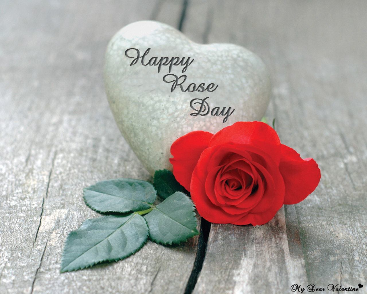 happy rose day rock heart and red rose bud