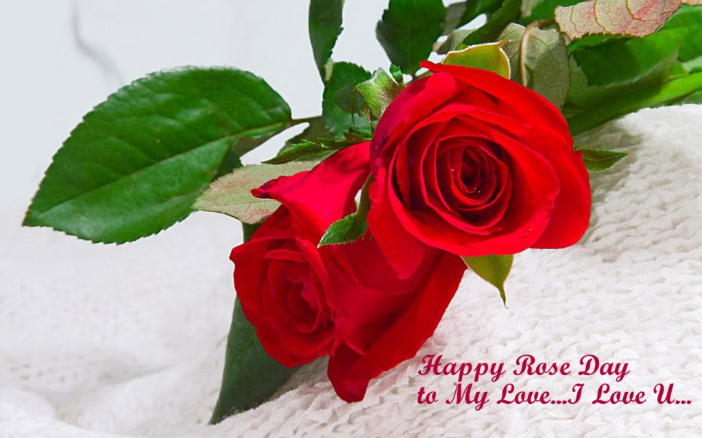 happy rose day to my love i love you