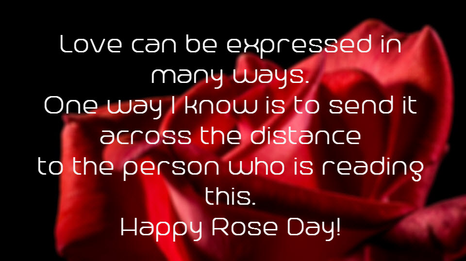 love can be expressed in many ways happy Rose Day