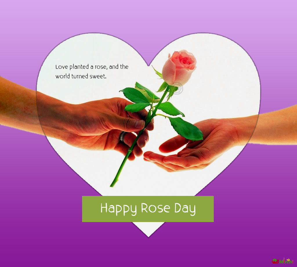 love planted a rose and the world turned sweet happy Rose Day