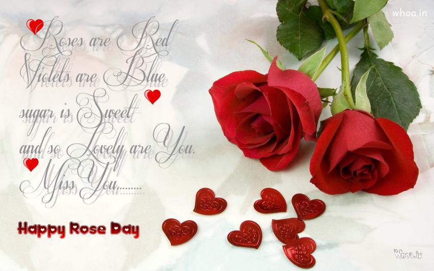 roses are red violets are blue sugar is sweet and so lovely are you miss you happy Rose Day