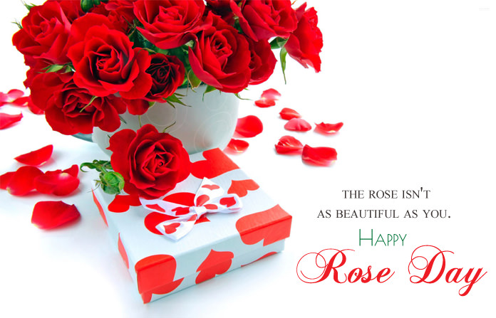 the rose isn’t as beautiful as you. happy Rose Day