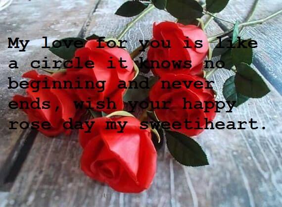 wish your happy Rose Day my sweetheart