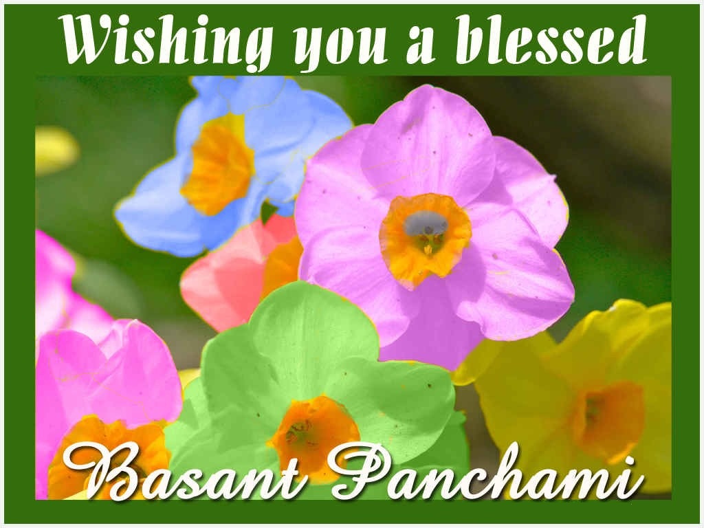 wishing you a blessed basant panchami greeting card