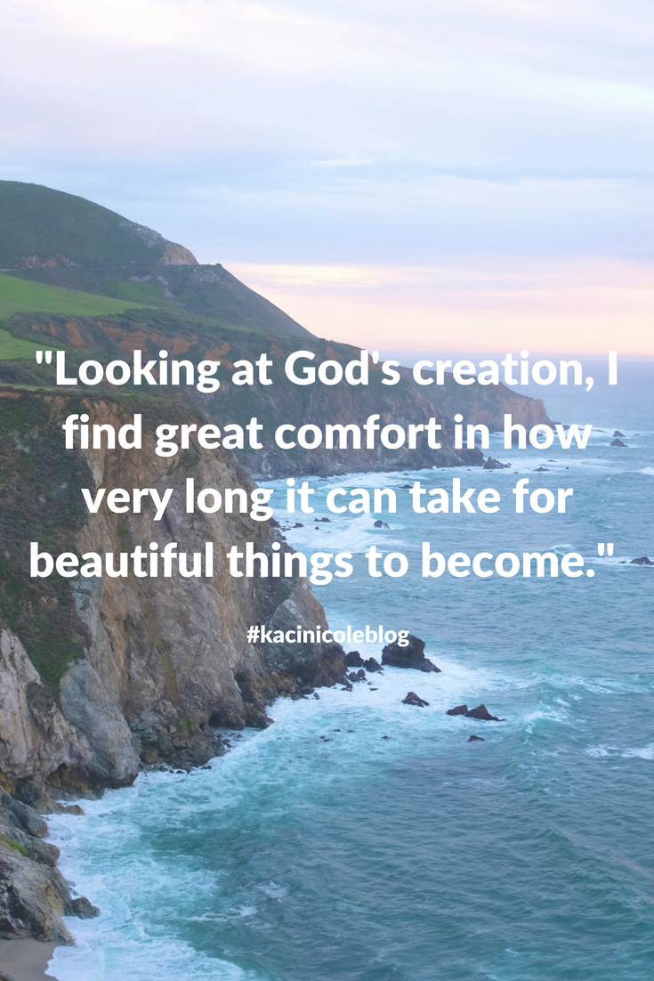 Looking at God’s creation, I find great comfort in how very long it can take for beautiful things to become.