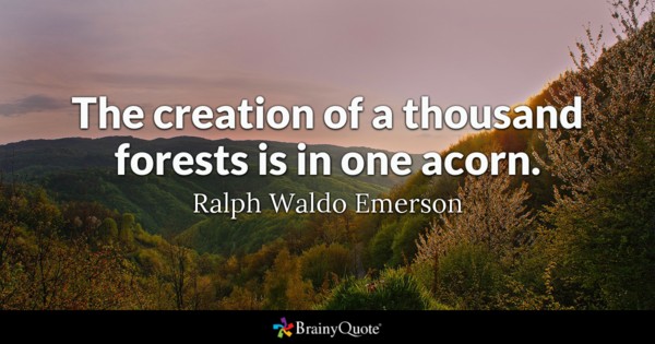 The creation of a thousand forests is in one acorn. Ralph Waldo Emerson