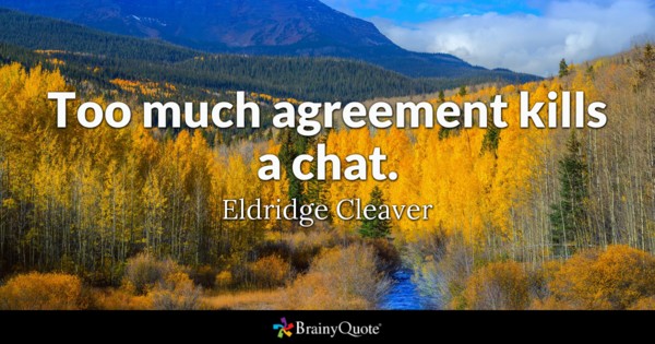 Too much agreement kills a chat. Eldridge Cleaver