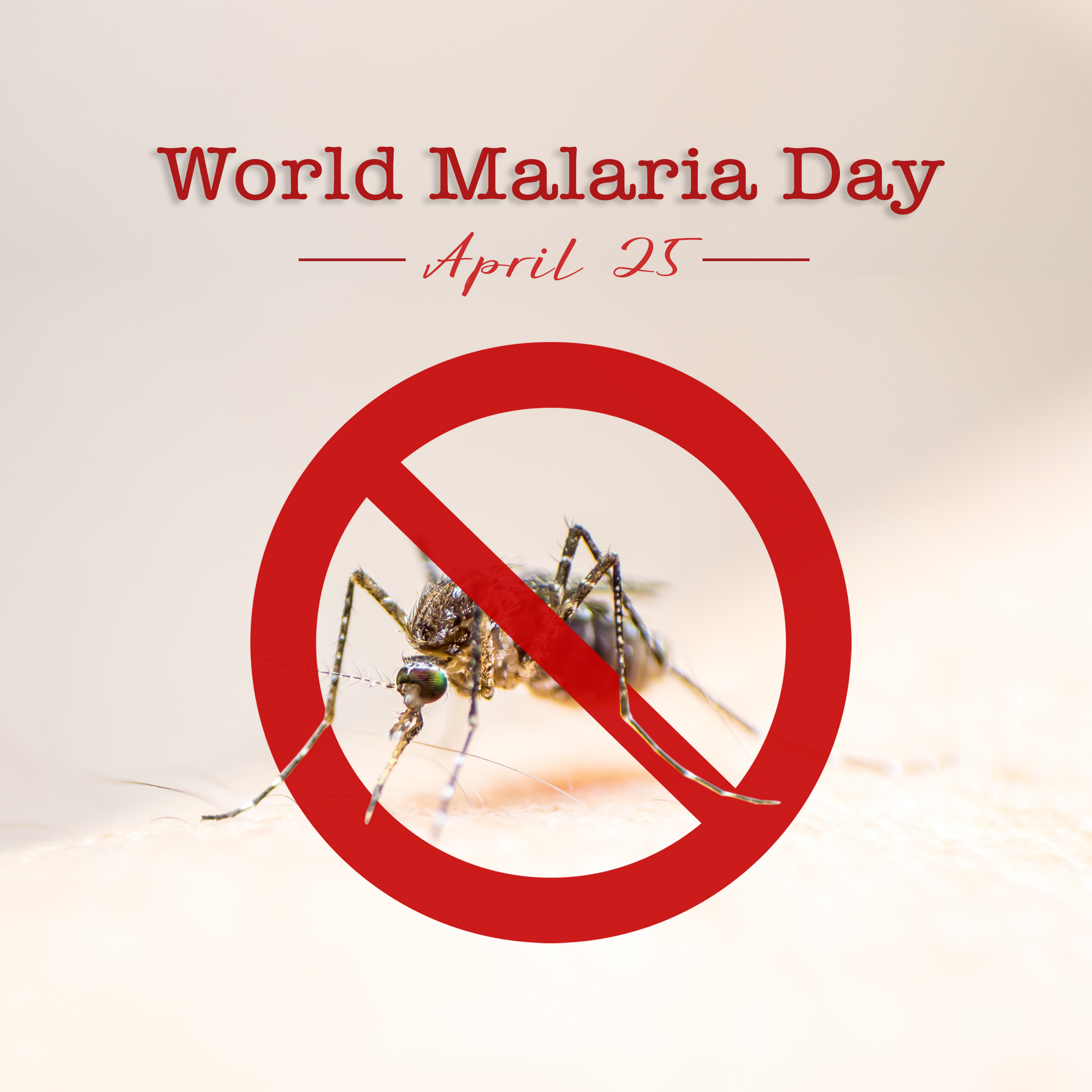 World Malaria Day april 25 no mosquito