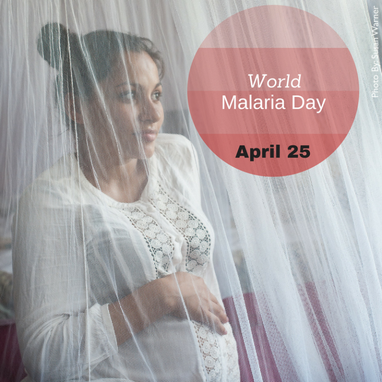 World Malaria Day april 25 pregnant woman picture