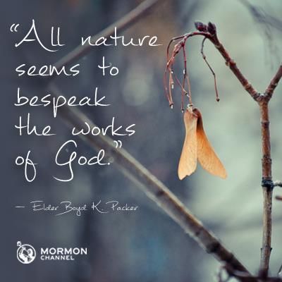 all nature seems to be speak the works of god. elder bayal k packer