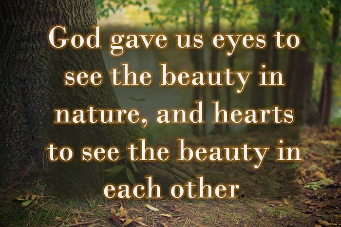 god gave us eyes to see the beauty in nature, and hearts to see the beauty in each other