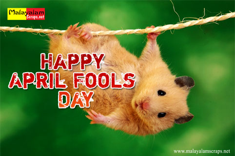 happy April Fool Day mouse picture