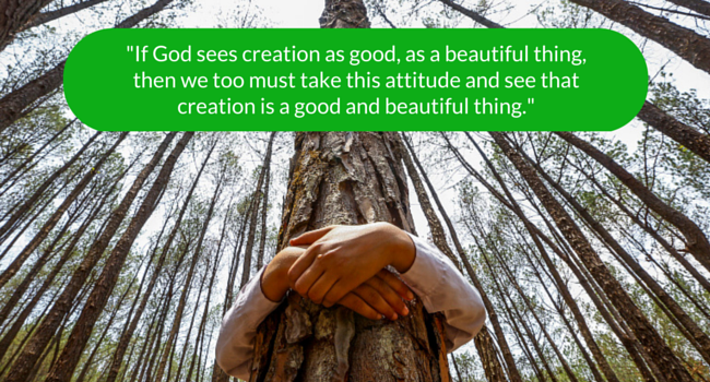 if god sees creation as good, as a beautifu thing, then we too must take this attitude and see that creation is a good and beautiful thing