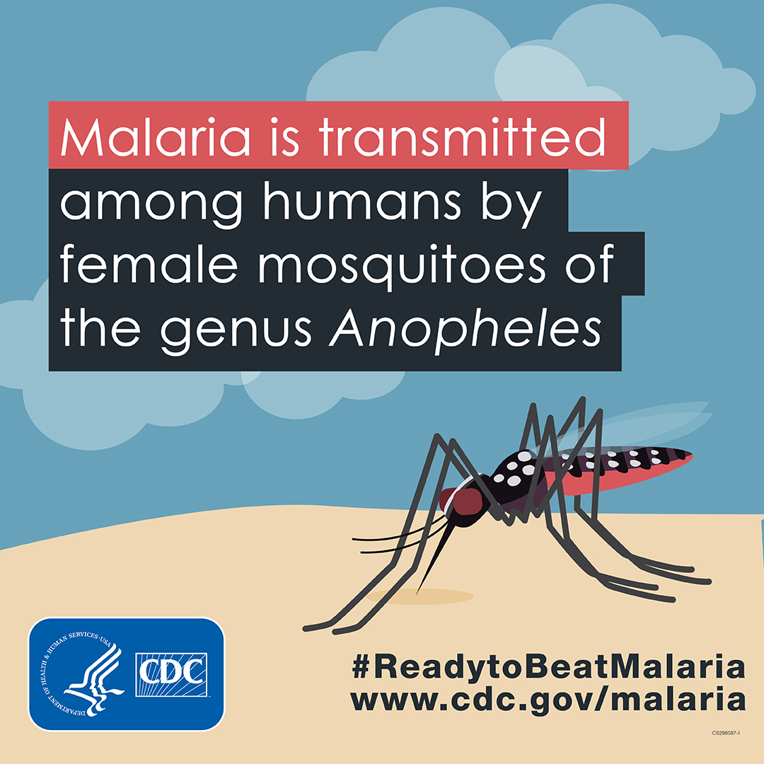 malaria is transmitted among humans by female mosquitoes of the genus anopheles world malaria day