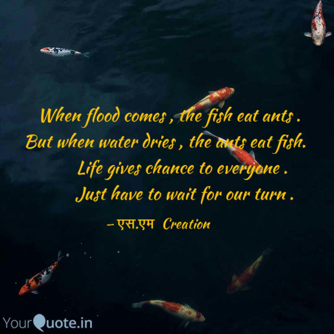 when flood comes, the fish eat ants, but when water dies, the ants eat fish. life gives chance to everyone. just have to wait for our turn.