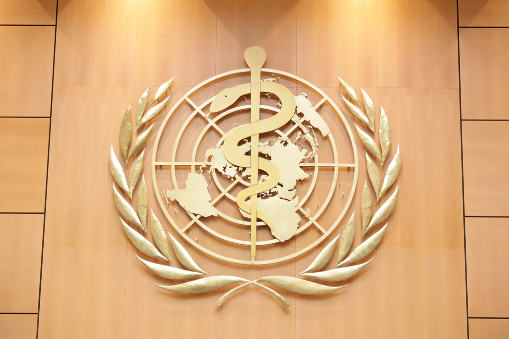 world health day UN symbol