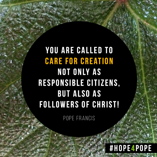 you are called to care for creation not only as responsible citizens, but also as followers of christ. pope francis