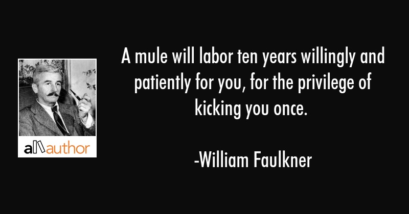 A mule will labor ten years willingly and patiently for you, for the privilege of kicking you once. william faulkner