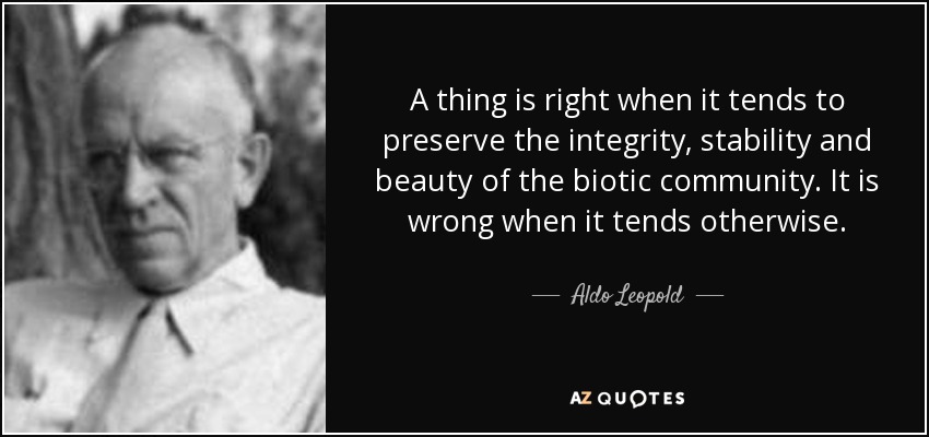 A thing is right when it tends to preserve the integrity, stability and beauty of the biotic community. It is wrong when it tends otherwise. aldo leopold