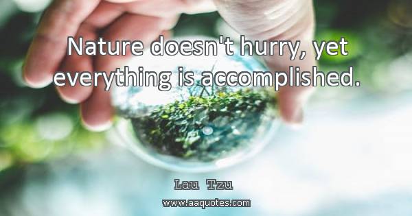 Nature doesn’t hurry, yet everything is accomplished. lao tzi