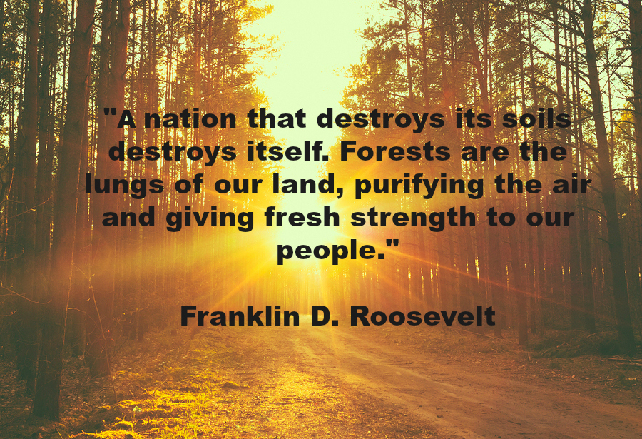 a nation that destroy its soils destroy itself. forests are the lungs of our land, purifying the air and giving fresh strength to our people. franklin d. roosevelt