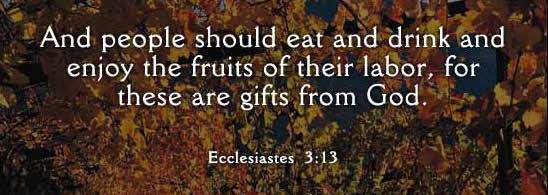 and people should eat and drink and enjoy the fruits of their labor, for these are gifts from god