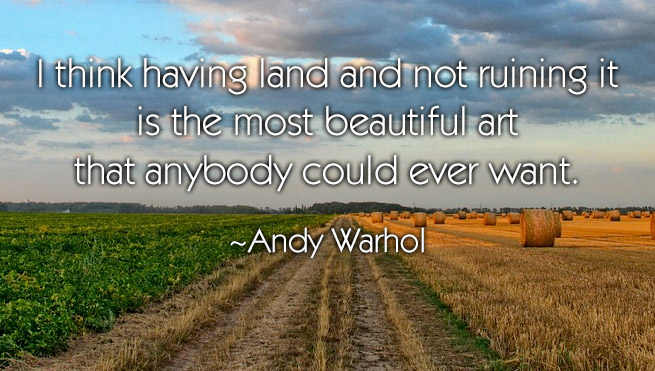 i think having land and not ruining it is the most beautiful art that anybody could ever want. andy warhol