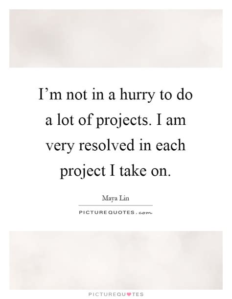 i’m not in a hurry to do a lot of projects. i am very resolved in each project i take on. maya lin