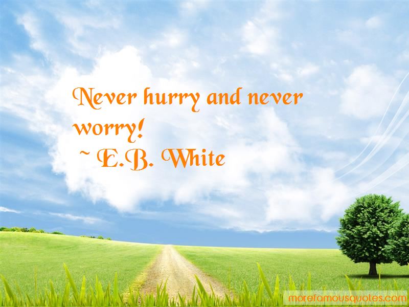 never hurry and never worry. e.b. white