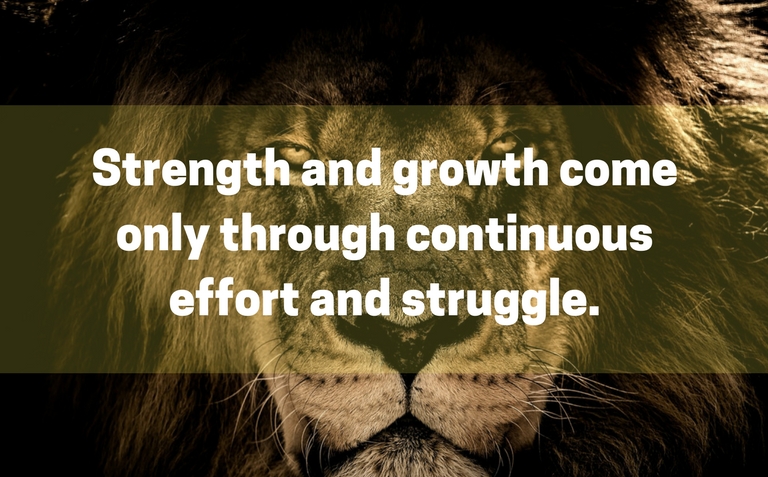 strength and growth come only through continuous effort and struggle