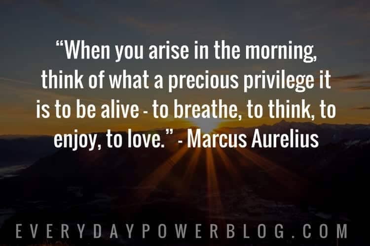 when you arise in the morning, think of what a precious privilege it is to be alive to breathe, to think, to enjoy, to love. marcus aurelius