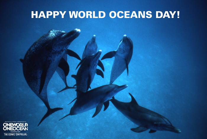 Happy World Oceans Day Dolphins Picture