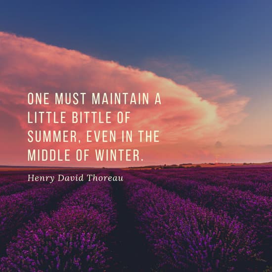 one must maintain a little bittle of summer, even in the middle of winter. henry david thoreau