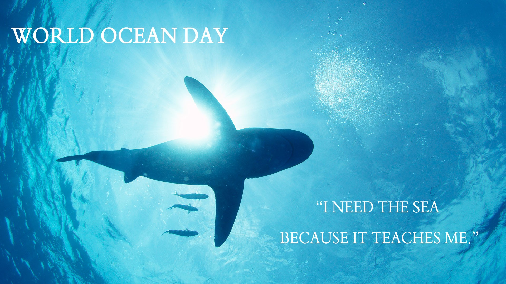 65 Best World Oceans Day 19 Wish Pictures And Images