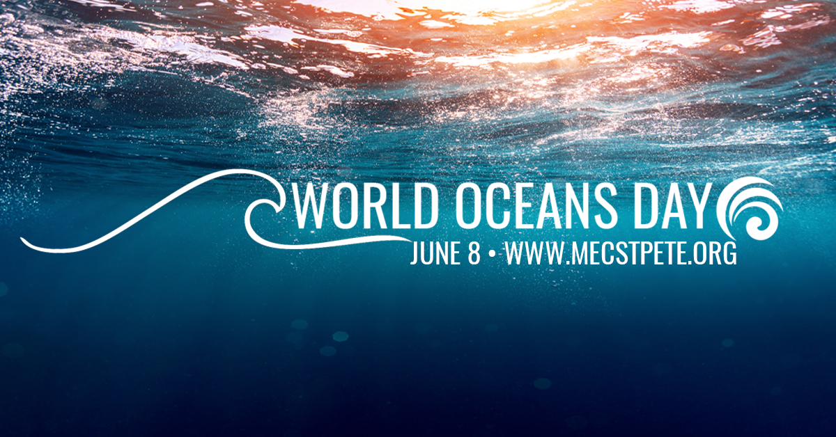 world oceans day june 8 picture for facebook