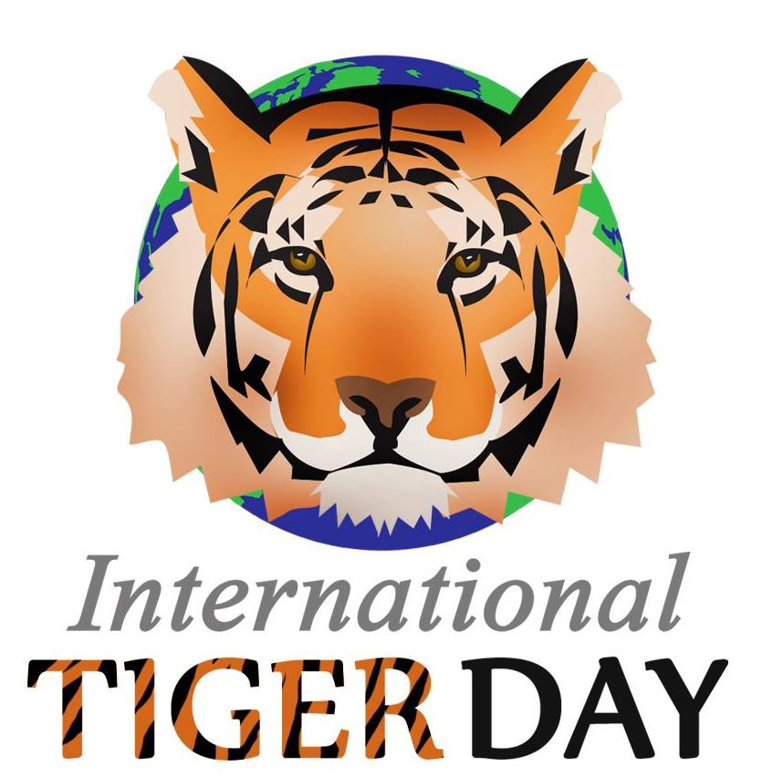 international tiger day tiger face illustration