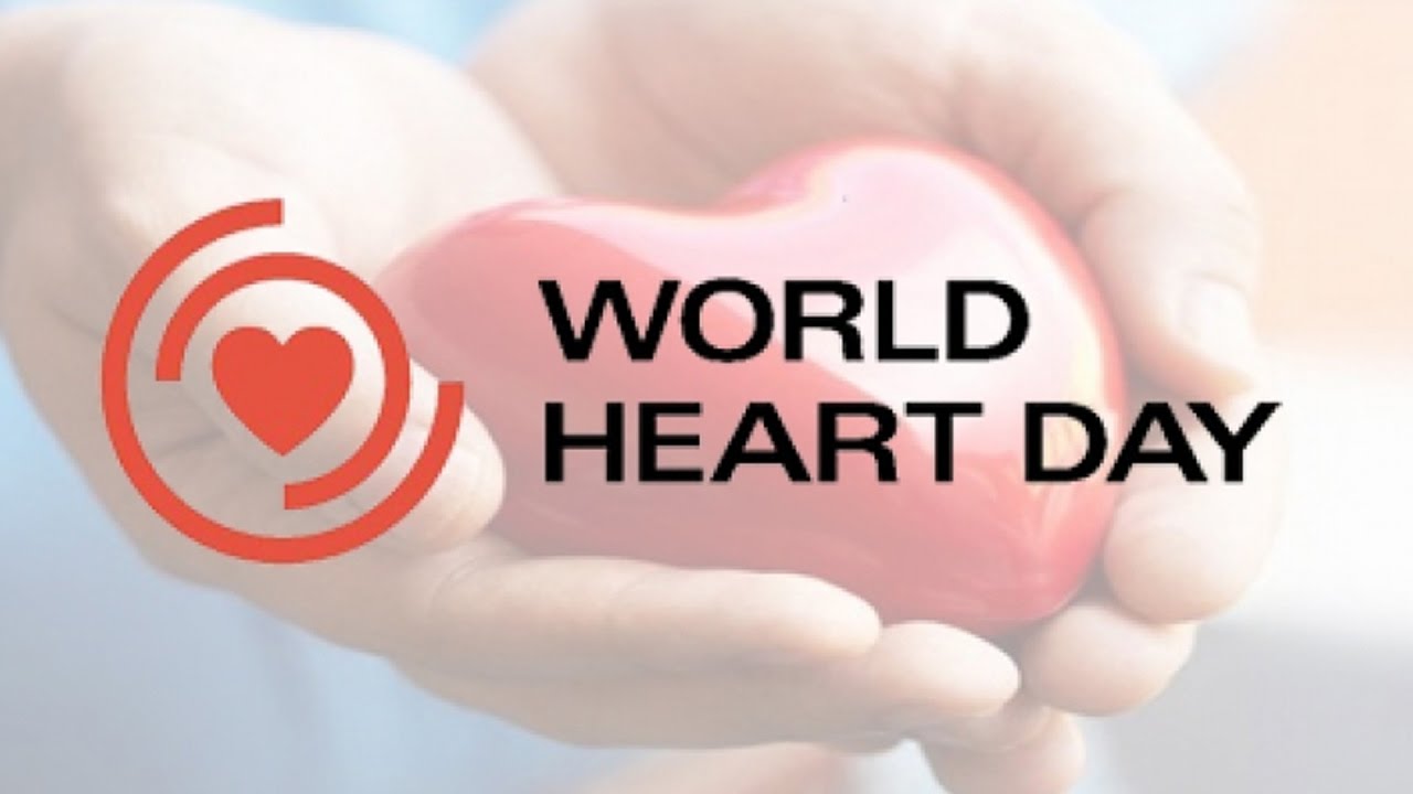 World Heart Day Heart In Hand Picture