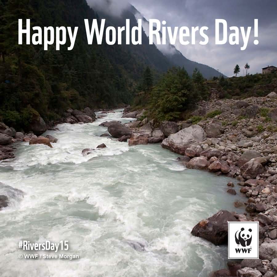 World Rivers Day Beautiful River In Background