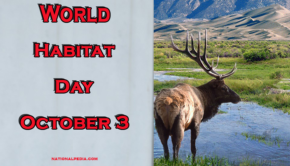 world habitat day october 3