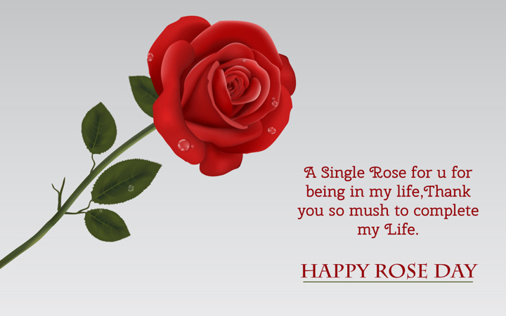 a single rose for you for being in my life thank you so much to complete my life happy rose day