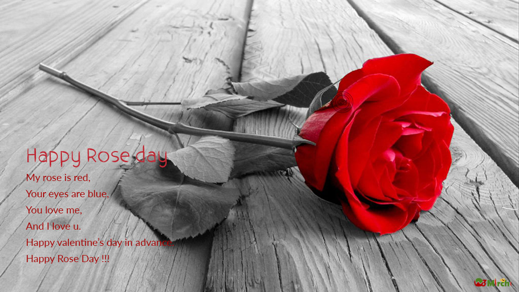 happy rose day my rose is red your eyes are blue. you love me and i love you