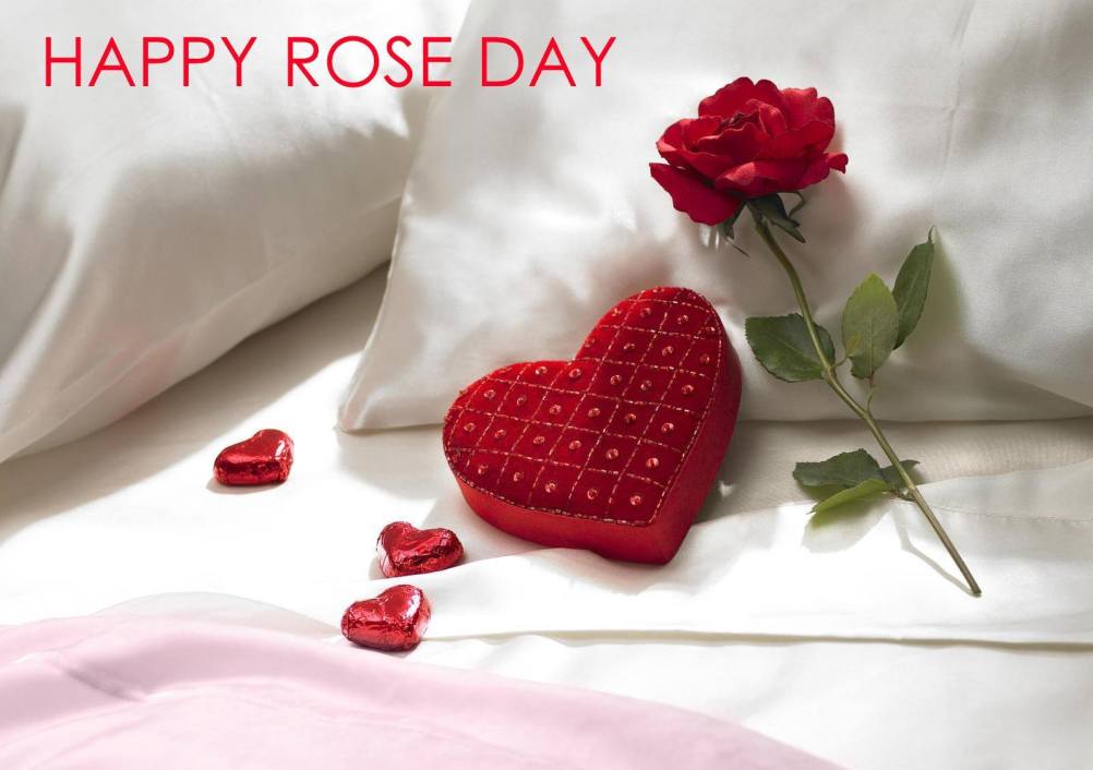 happy rose day rose bud and hearts