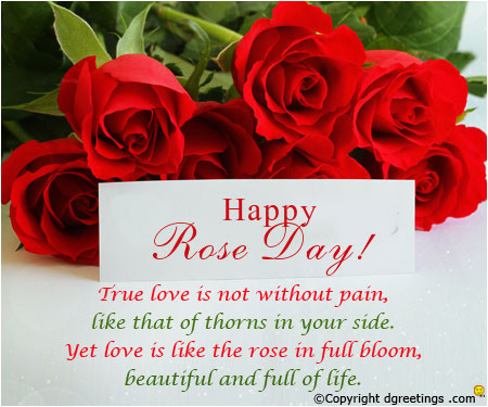 happy rose day true love is not without pain